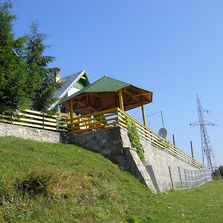Pensiunea Luminita Ciungetu Extérieur photo